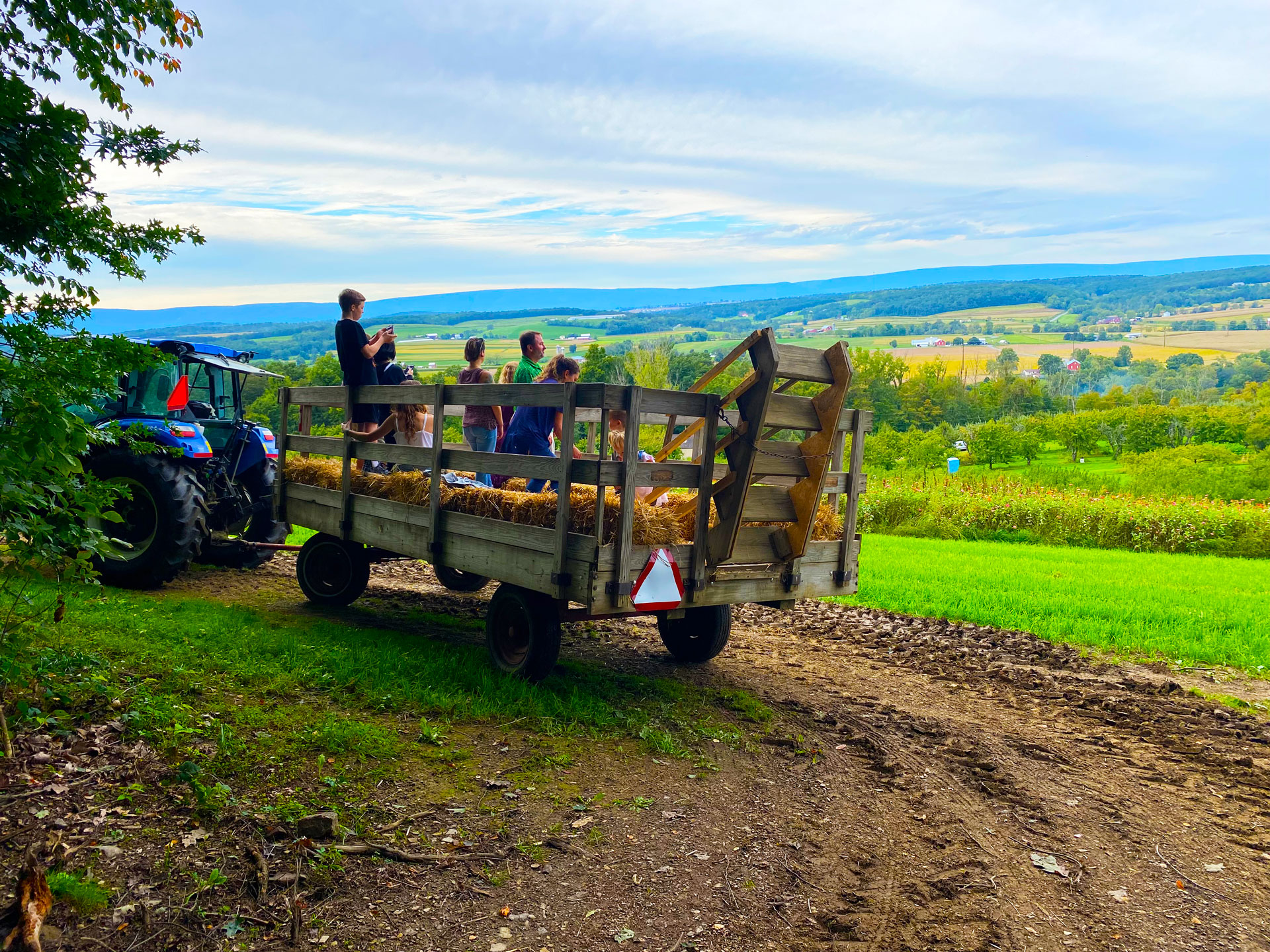 apple picking fall market at northhill orchard 4