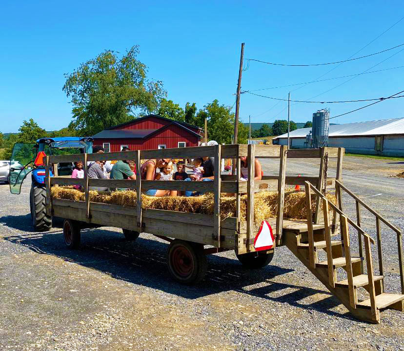 northhill orchard apple picking winfield pa fall saturday hay rides copy