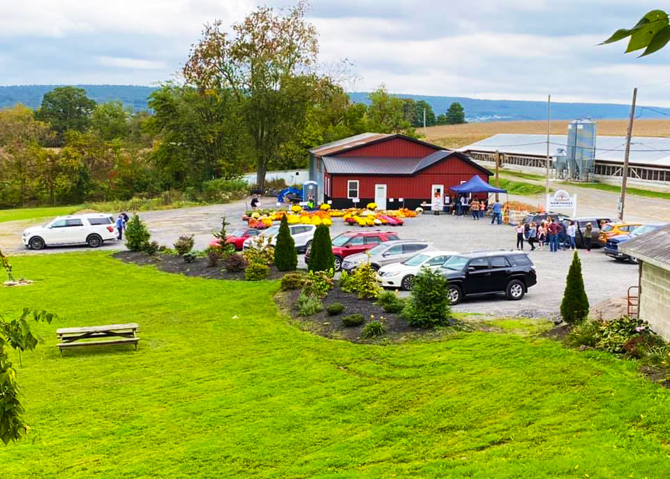 apple picking near lewisburg pa 5