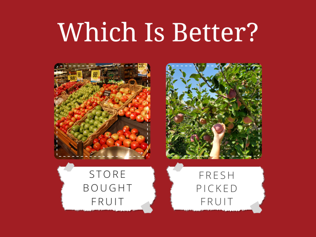 are apples better fresh or from the store?